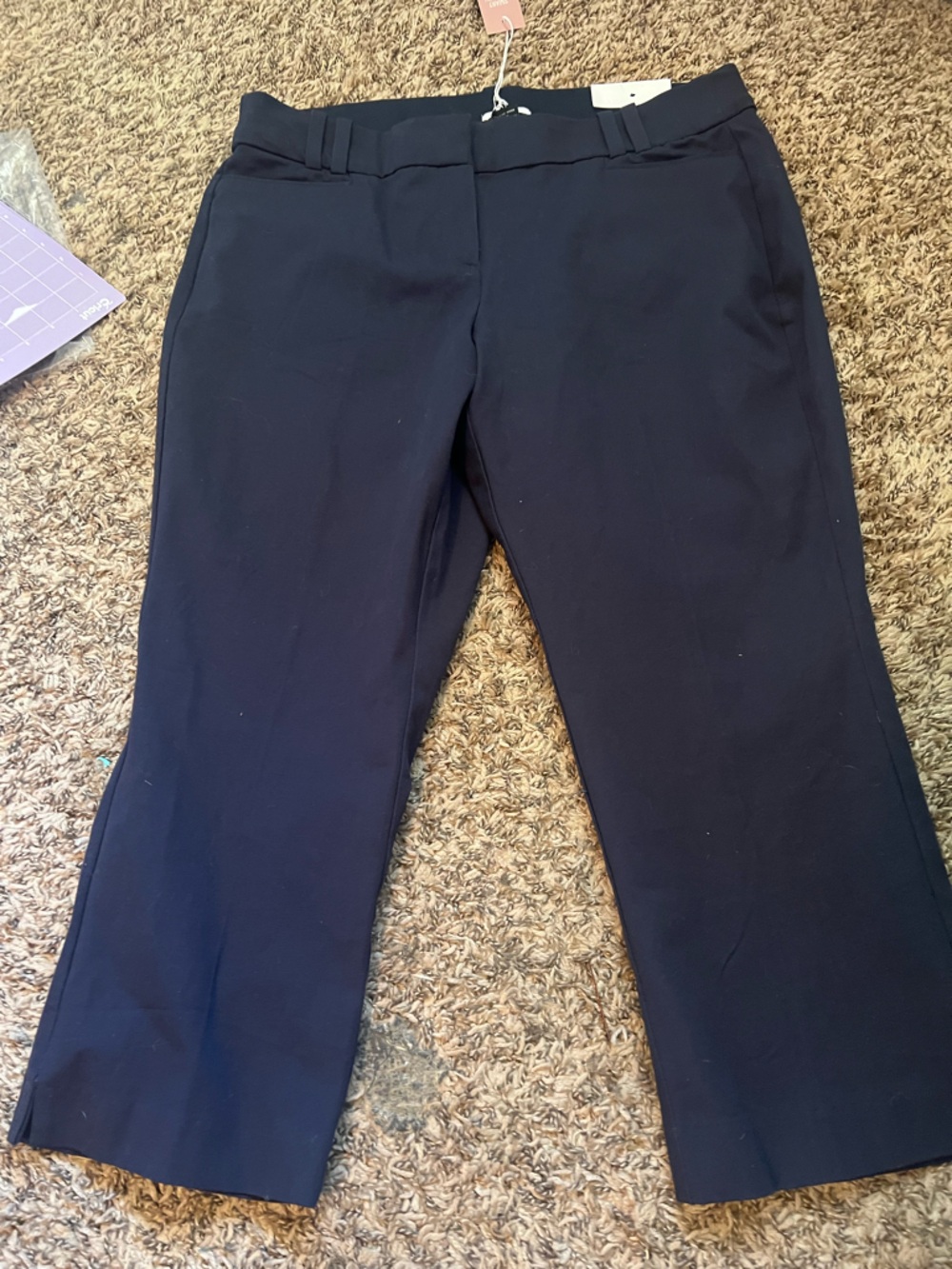 Lane Bryant Navy Smart Stretch Pants